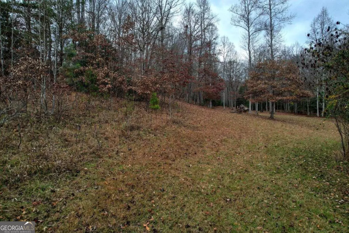 Blairsville, GA 30512,LOT 32 Ivy Log