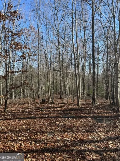 Morganton, GA 30560,LOT 12 Spring Ridge TRL