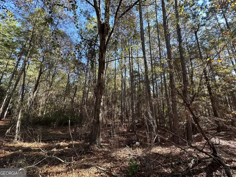 LOT 21 Cochran HWY, Eastman, GA 31023