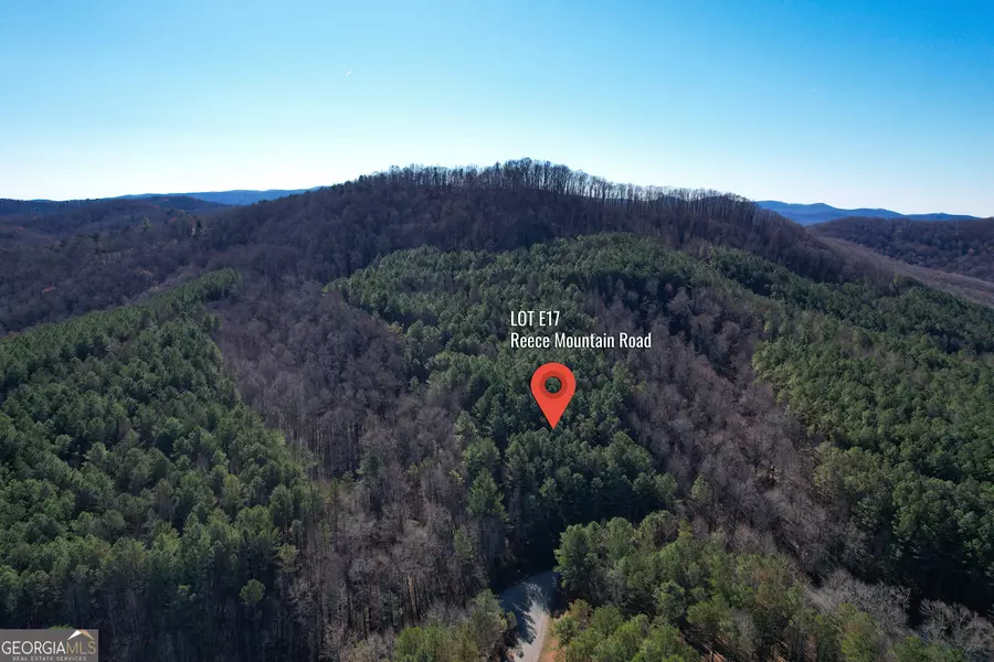 0 Reece Mountain RD #LOT # E17, Ellijay, GA 30536