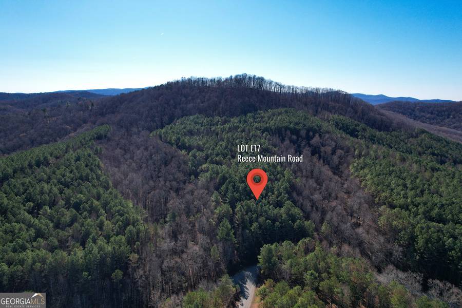 0 Reece Mountain, Ellijay, GA 30536