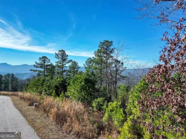 Blairsville, GA 30512,LOT10 Mile High