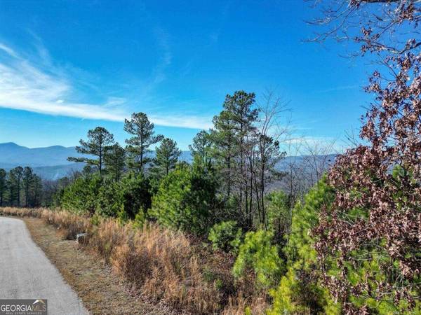 LOT10 Mile High, Blairsville, GA 30512