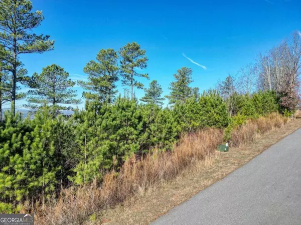 Blairsville, GA 30512,LOT10 Mile High