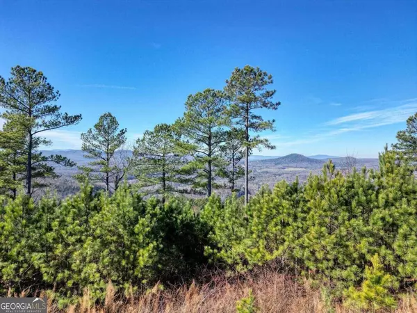 Blairsville, GA 30512,LOT10 Mile High