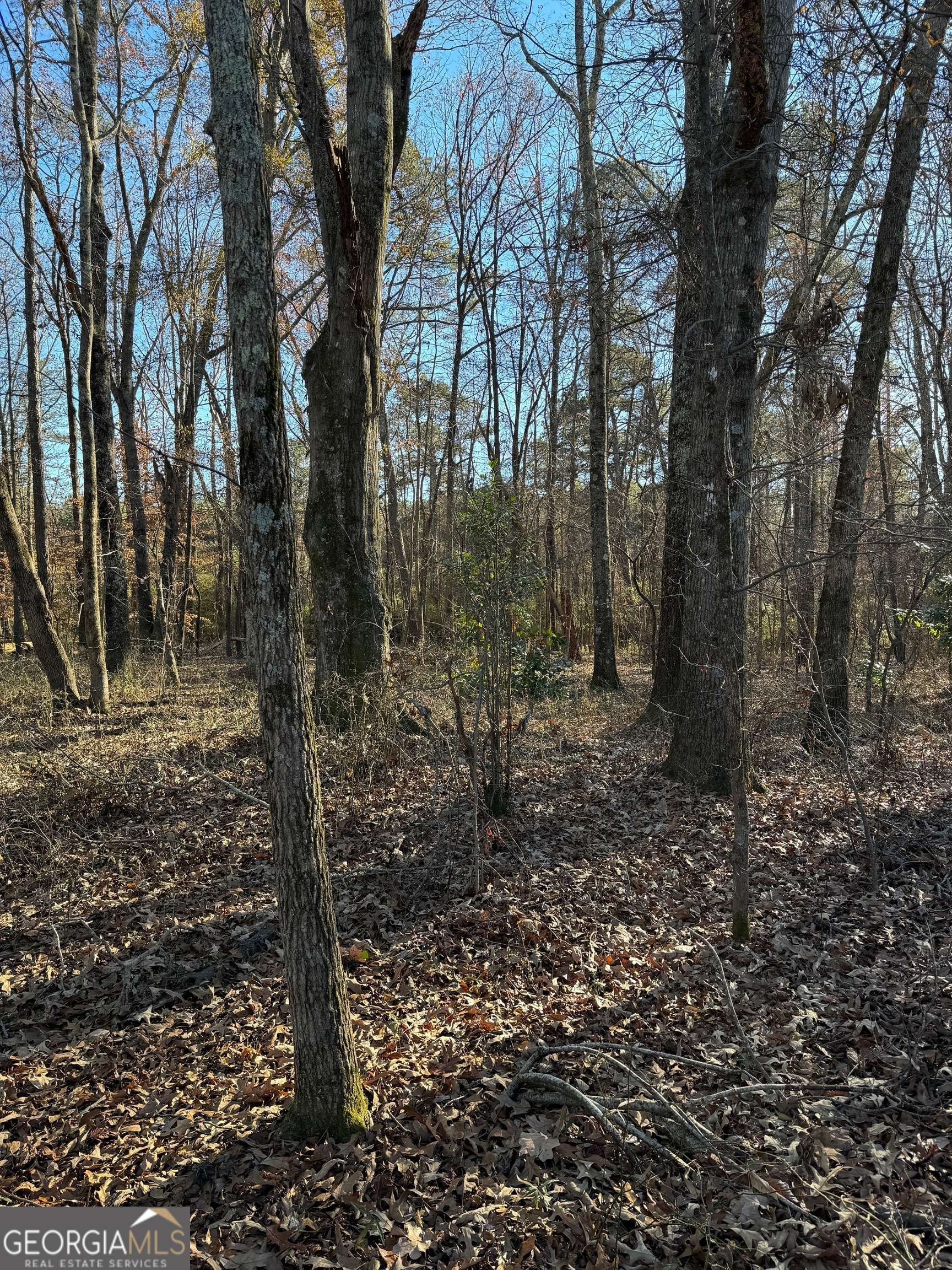 Loganville, GA 30052,0 HOKE OKELLY MILL RD
