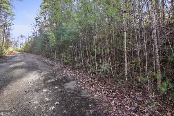 Ellijay, GA 30540,5.3 AC Joel Walker DR
