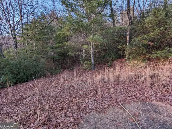 Hiawassee, GA 30546,LOT25 Whisper Woods