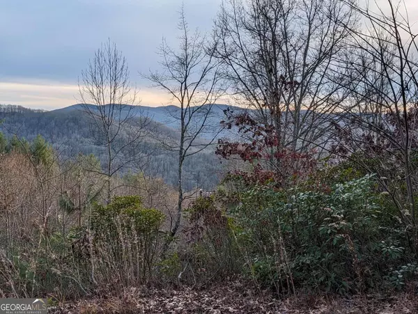 Hiawassee, GA 30546,LOT25 Whisper Woods