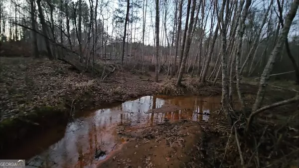 Forsyth, GA 31029,1480 Montpelier RD