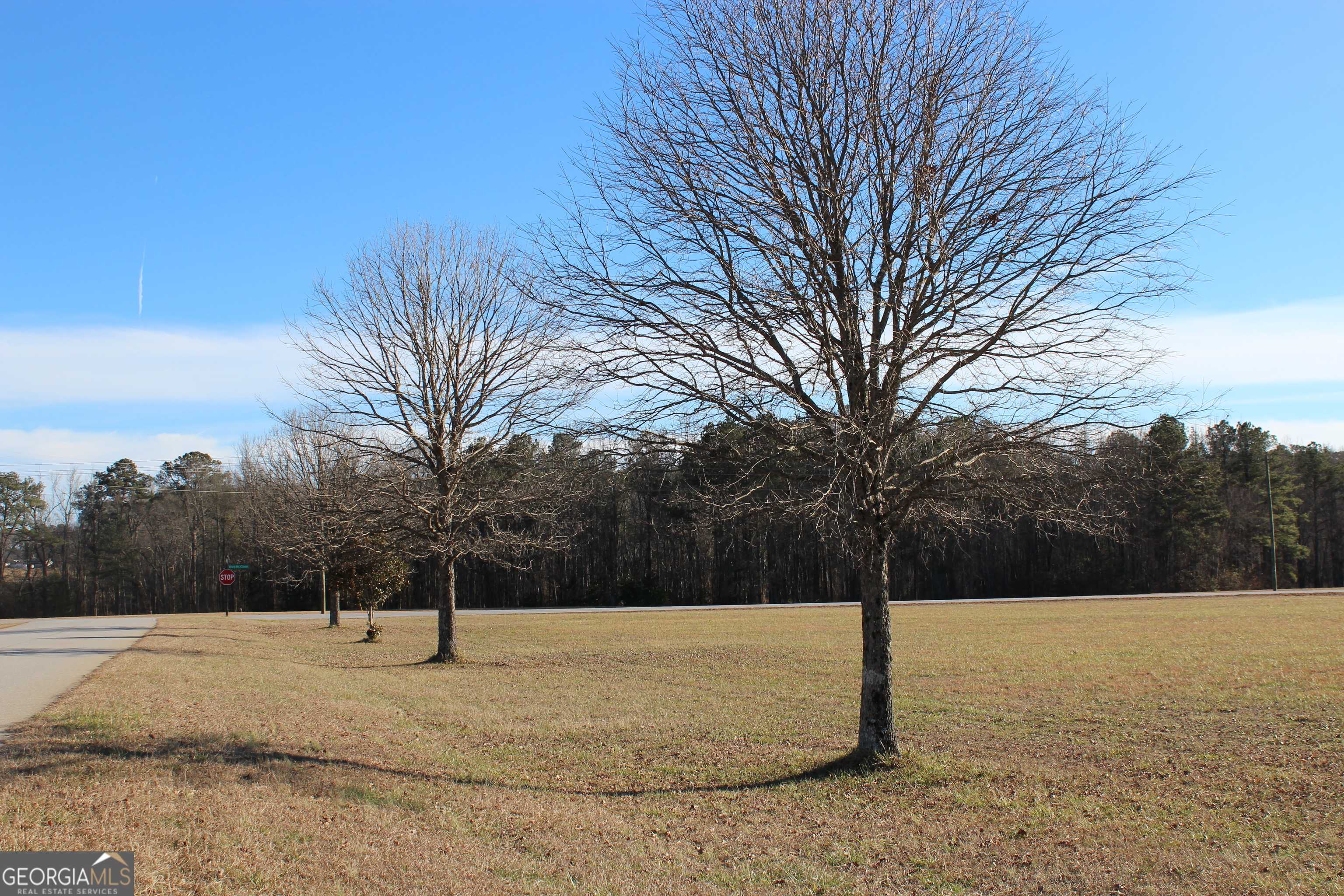 100 Village Lake CT,  Brooks,  GA 30205