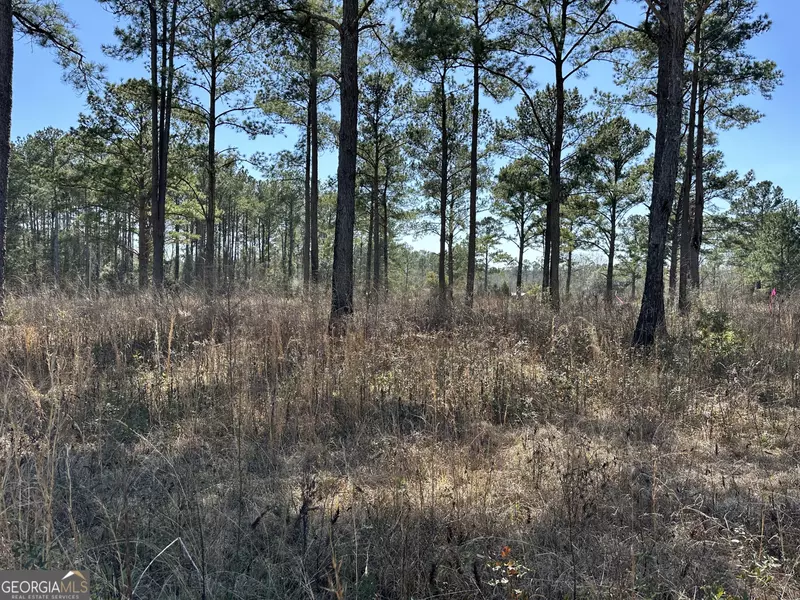 LOT 3 Pine Lakes, Cairo, GA 39828