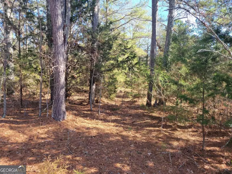 0 Cornelius RD, Cedartown, GA 30125