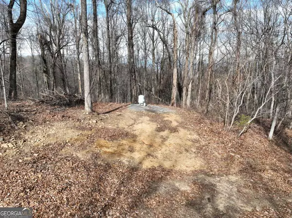 Ellijay, GA 30536,412 Blood Root