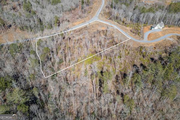 LT167 High, Ellijay, GA 30540