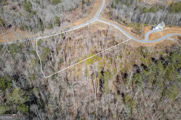 LT167 High RIV, Ellijay, GA 30540