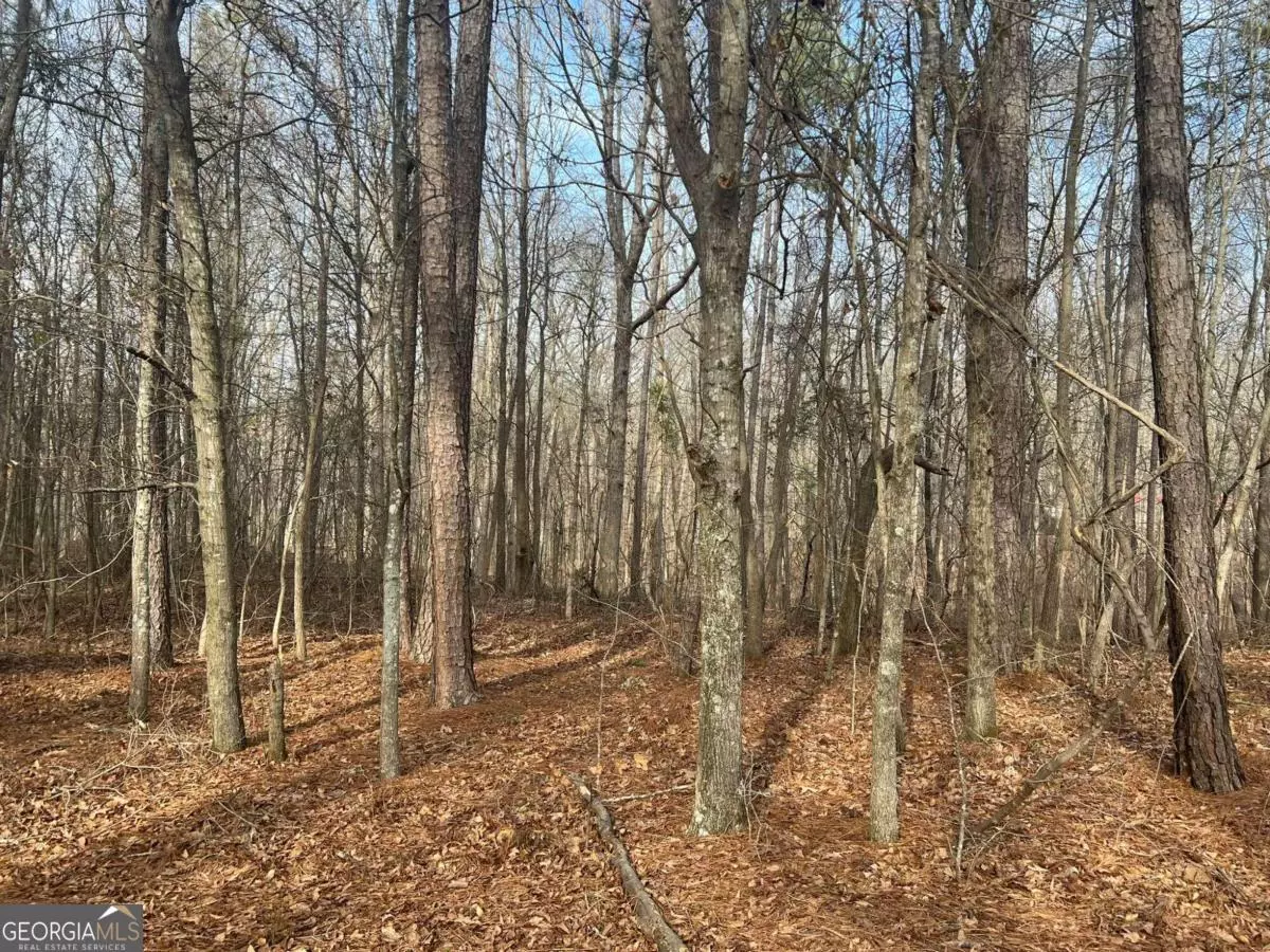 Nicholson, GA 30565,3.81AC Rocky Branch Hollow