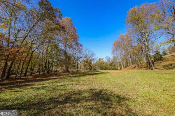Hayesville, NC 28904,LOT 13 Hinton Overlook