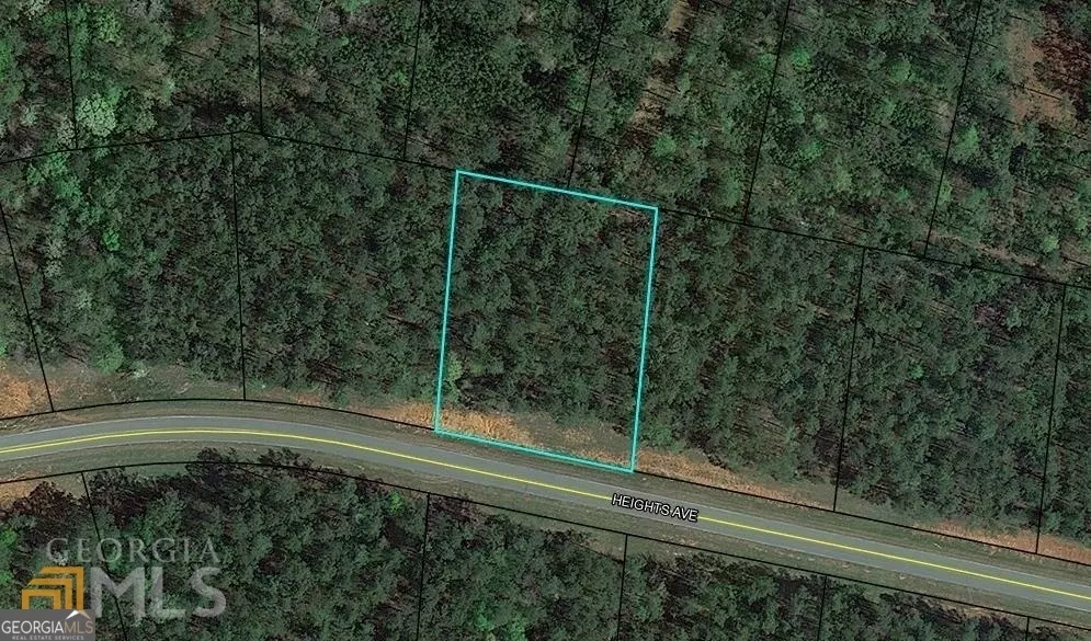 Forsyth, GA 31029,116 Heights AVE