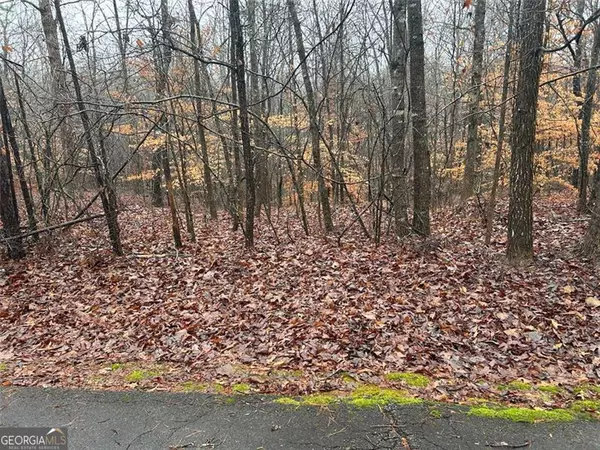 0 College Heights PL, Franklin Springs, GA 30662
