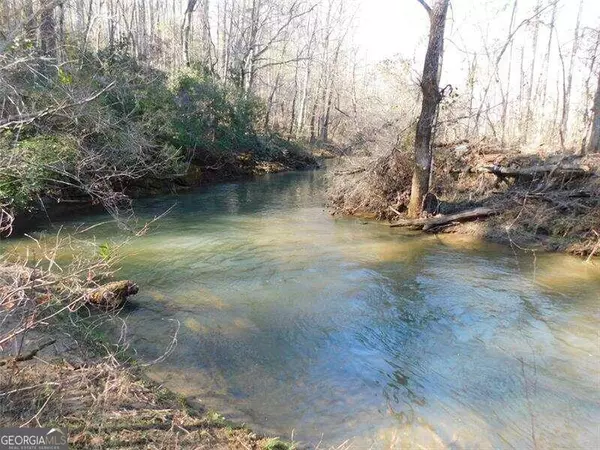 Dahlonega, GA 30533,0 Woodland LN #TRACT 4