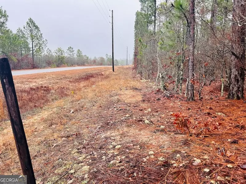 0 Henry Currington RD, Mauk, GA 31058