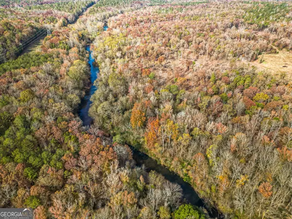 Forsyth, GA 31029,0 River