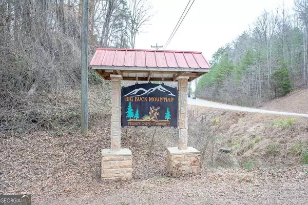 0 Double Line, Ellijay, GA 30540