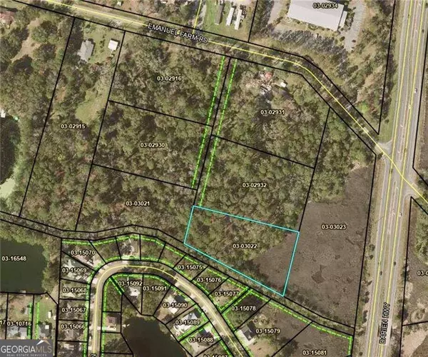 TR 6 Emanuel Farm RD, Brunswick, GA 31525