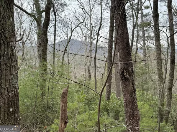 0 Wilderland TRL,  Helen,  GA 30545