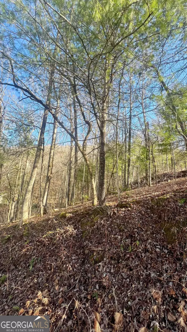 Blairsville, GA 30512,LOT 16 Emory Circle