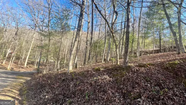 LOT 16 Emory Circle, Blairsville, GA 30512