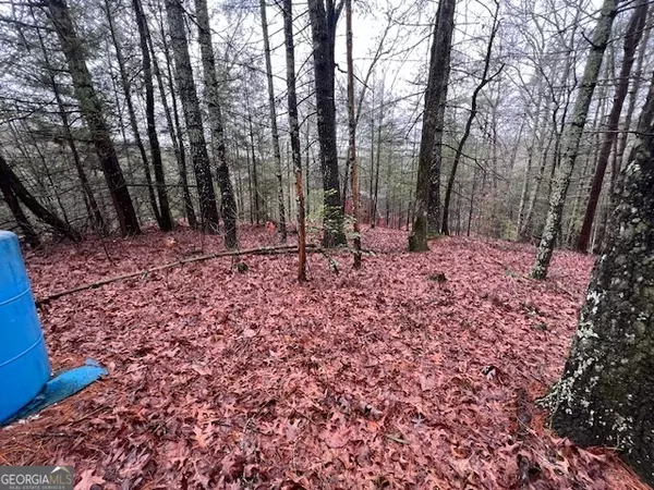 Ellijay, GA 30540,457 Candy LN