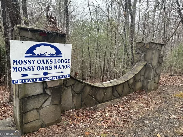 Hiawassee, GA 30546,LOT 14A Mossy Oak Ln.