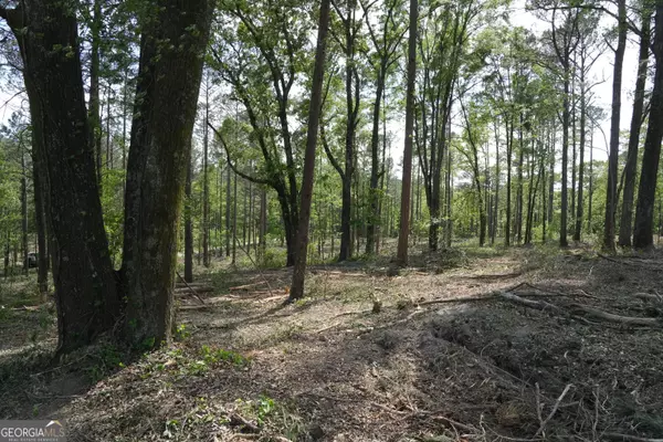 Cedartown, GA 30125,5.015 acres on Cut Log Road, Tract 17