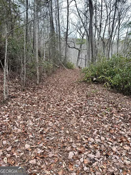 3 Dike, Toccoa, GA 30577