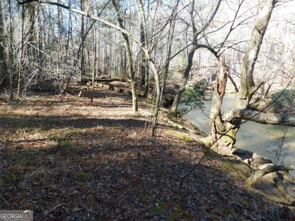 Dahlonega, GA 30533,0 Woodland Lane Tract 1