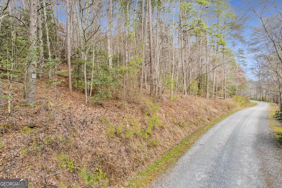 Ellijay, GA 30536,LOT 11 Possum Poke