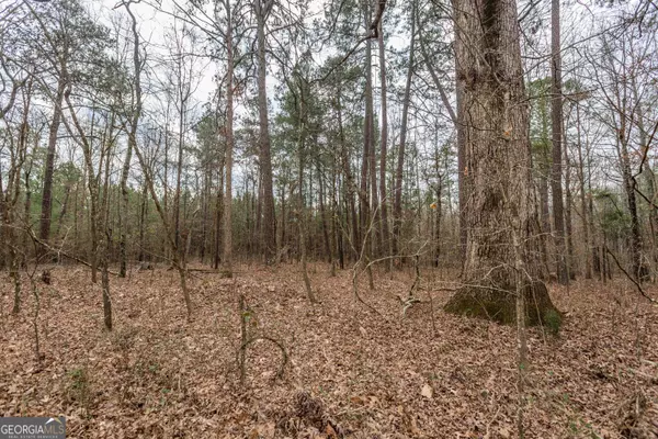 Covington, GA 30014,285 Digby RD