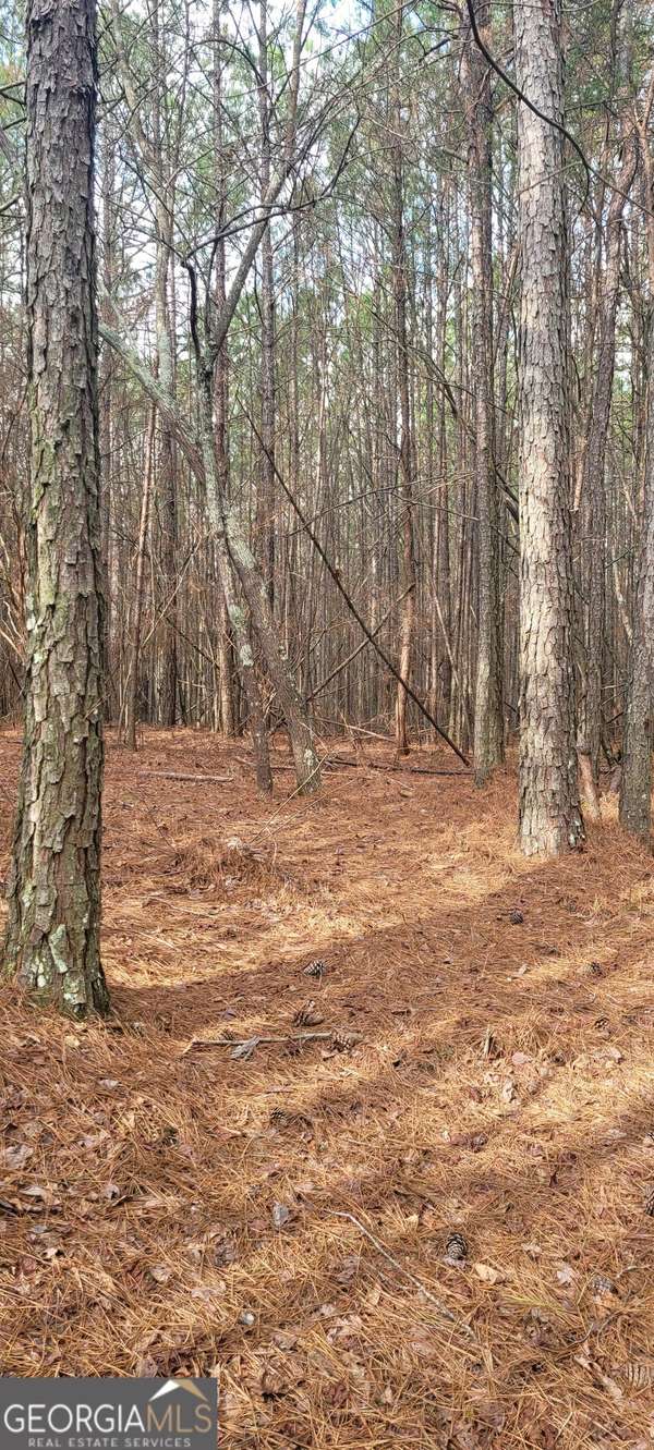 0 Albert AVE, Rome, GA 30165