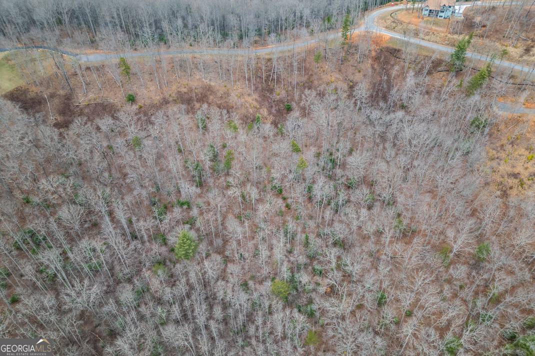 Blairsville, GA 30512,LOT 133 Blackburn WAY