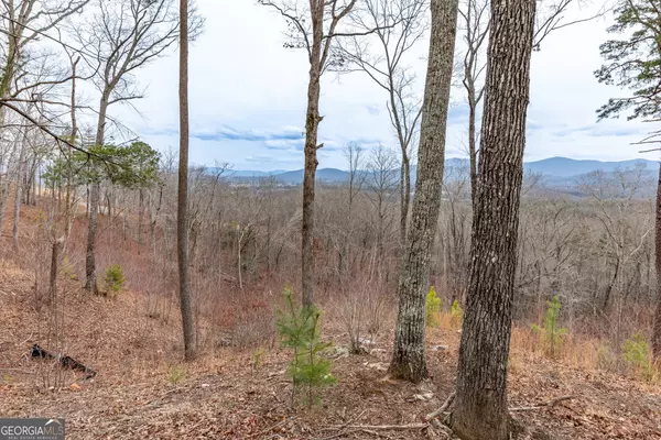 Blairsville, GA 30512,LOT 133 Blackburn WAY