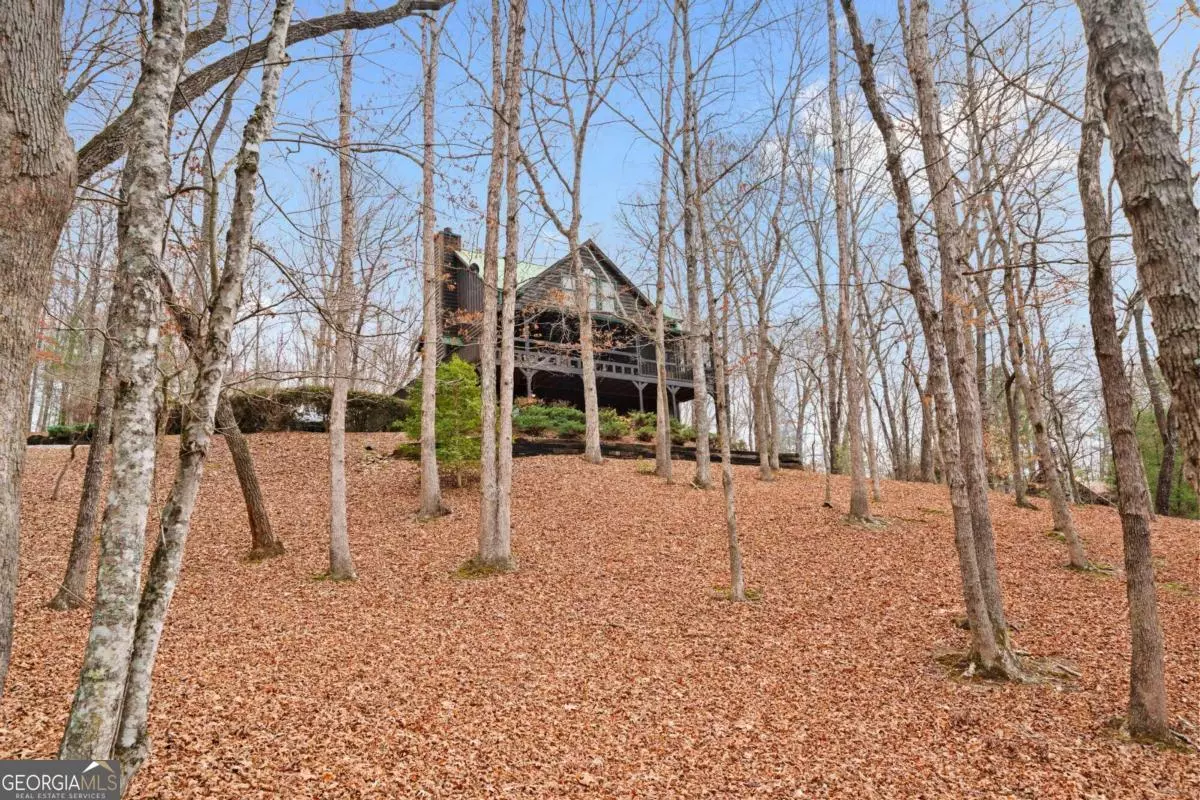 Mineral Bluff, GA 30559,93 Kaely