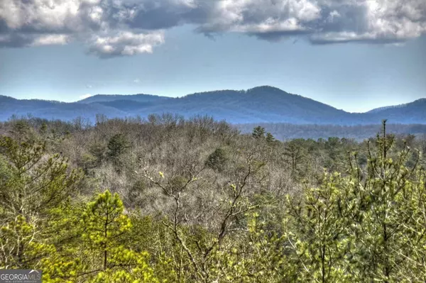 Mineral Bluff, GA 30559,670 The Woods RD