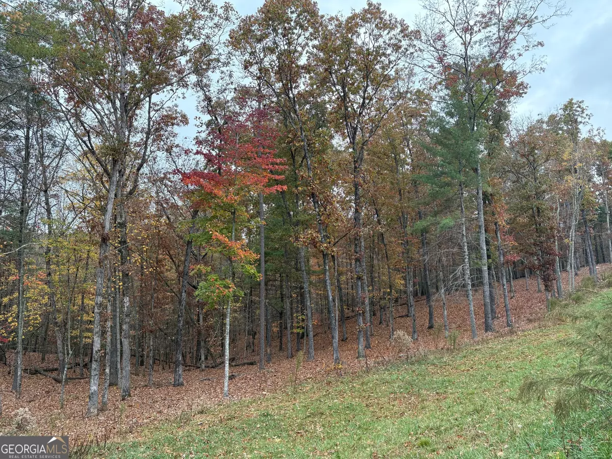 Morganton, GA 30560,LOT 41 Ridge DR