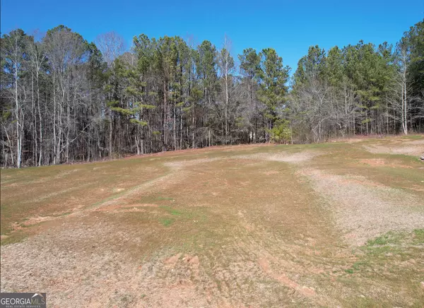 Franklin, GA 30217,14 Rivers Edge Lane LOT 3