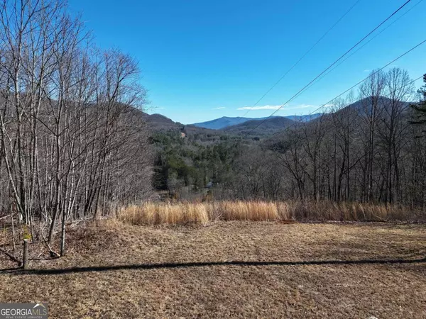 TRACT 3 King Mountain, Blairsville, GA 30512