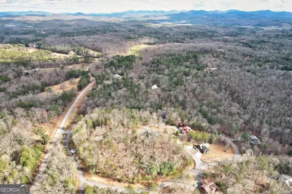 Morganton, GA 30560,LOT 14 My Forest