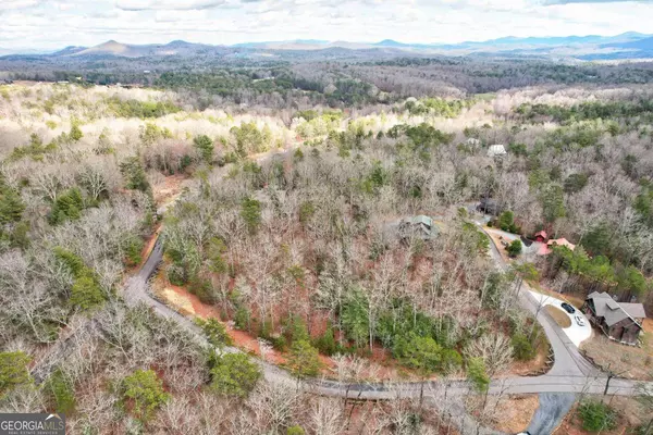 Morganton, GA 30560,LOT 14 My Forest