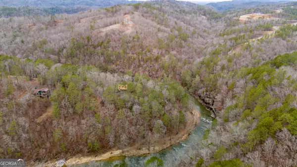 Ellijay, GA 30540,LOT 202 Blalock Mountain